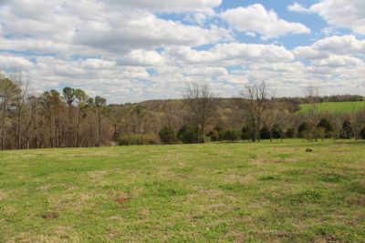 43.920 Acres Cross Plains TN – May 28th